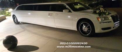 lobnaIMG-20170420-WA0124 (2)