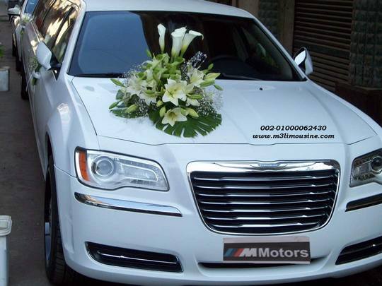 lobnaIMG-20170420-WA0124 (5)